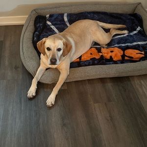 Meet your Posher, Scott